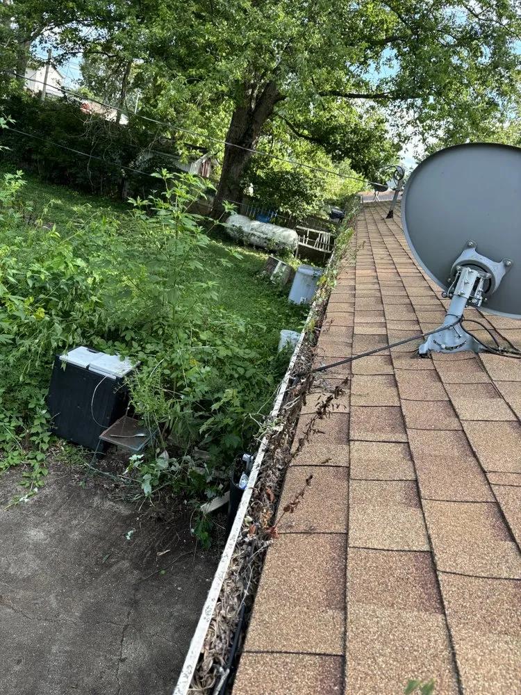 Local yard cleanup service experts serving Martinsville, IN - Brotherly Cleaning Services