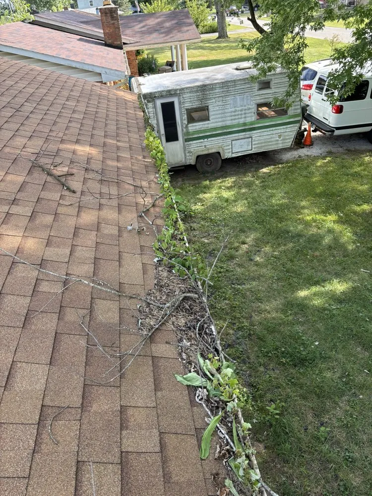 Local yard maintenance in Martinsville, IN by Brotherly Cleaning Services