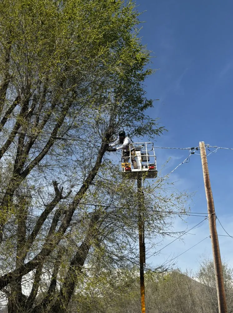 Custom outdoor landscaping with custom design in Lehi, UT by Brotherly Tree