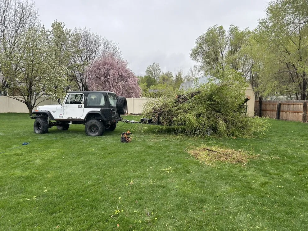Local yard cleanup service experts serving Lehi, UT - Brotherly Tree