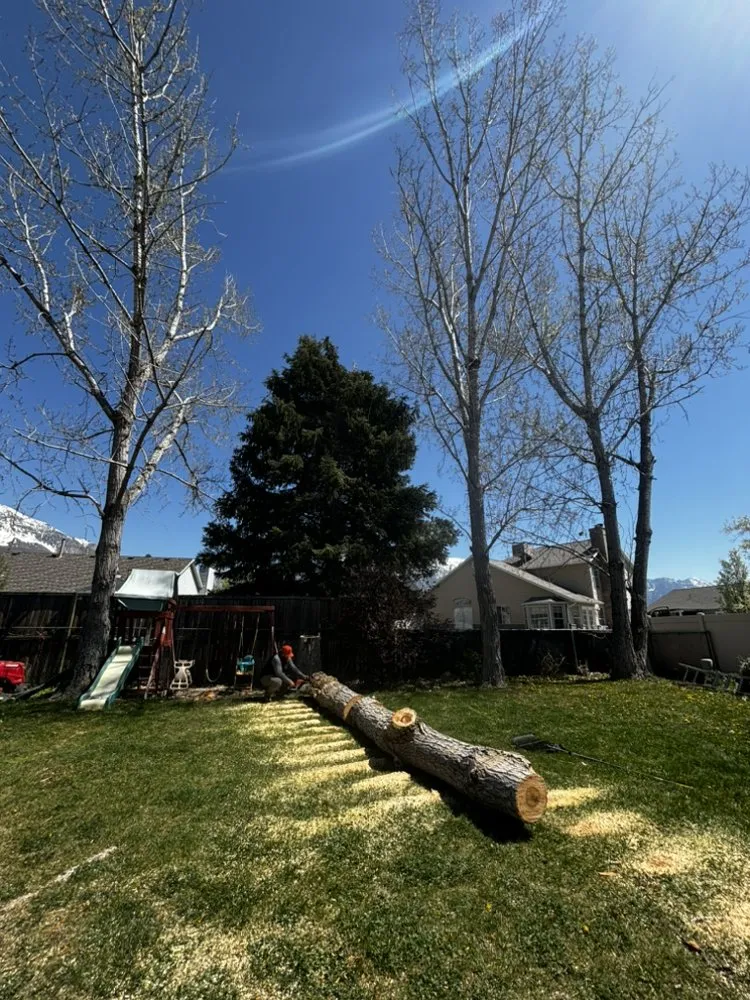 Reliable residential landscaping experts serving Lehi, UT - Brotherly Tree