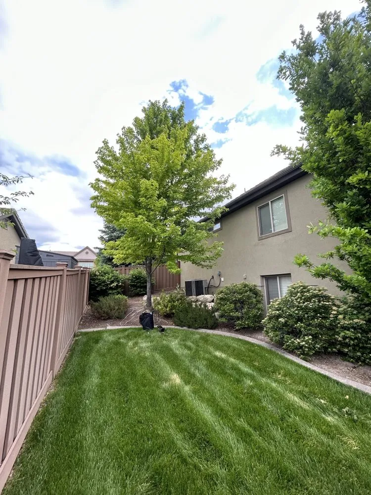 Reliable landscape installation for beautiful yards in Lehi, UT by Brotherly Tree
