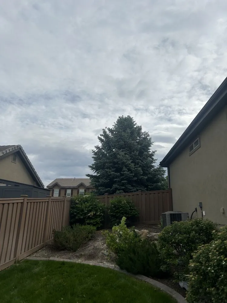 Reliable landscaping services experts serving Lehi, UT - Brotherly Tree