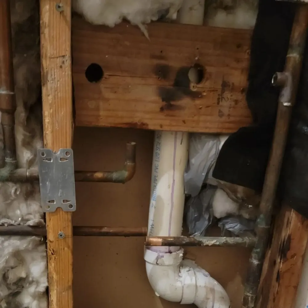 Top-rated yard cleanup service in Staten Island, NY by Brothers & lawns landscaping and maintenance