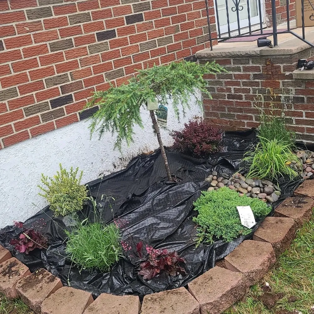 Affordable yard cleanup service in Staten Island, NY by Brothers & lawns landscaping and maintenance