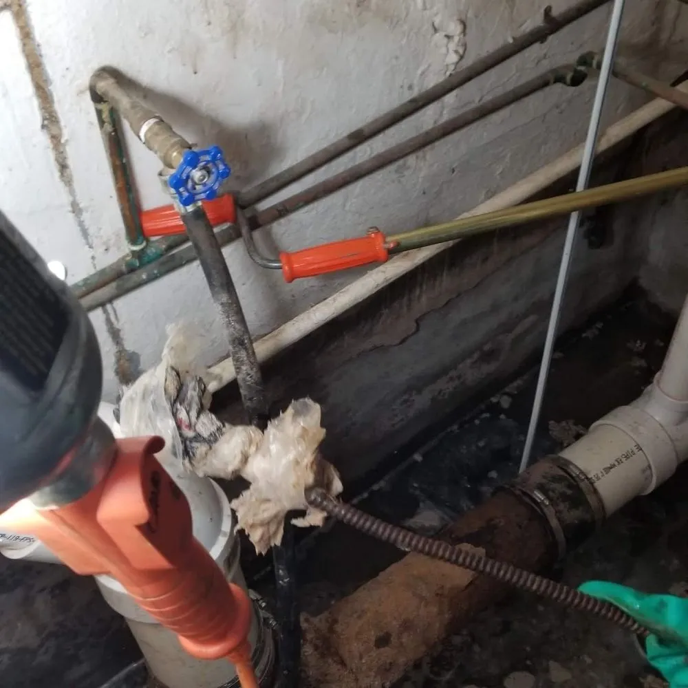 Reliable landscape design near you in Staten Island, NY by Brothers & lawns landscaping and maintenance