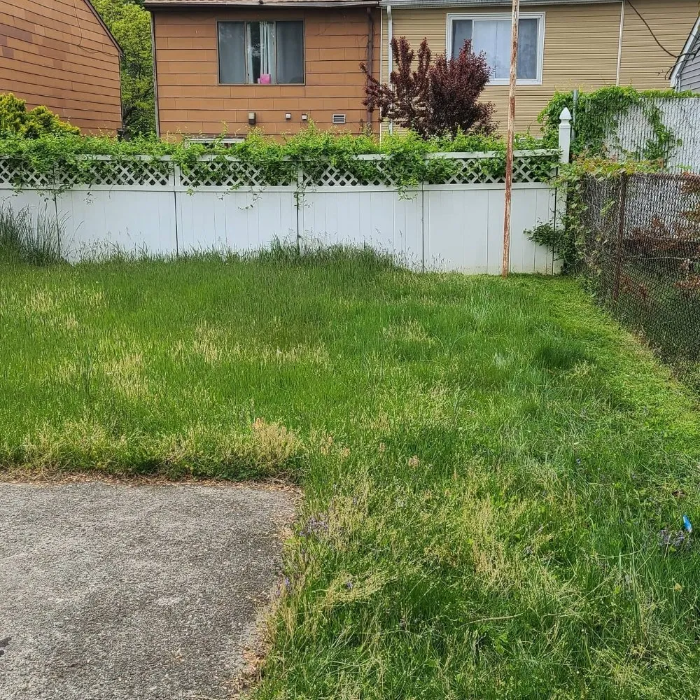 Affordable yard maintenance for residential properties across Staten Island, NY - Brothers & lawns landscaping and maintenance