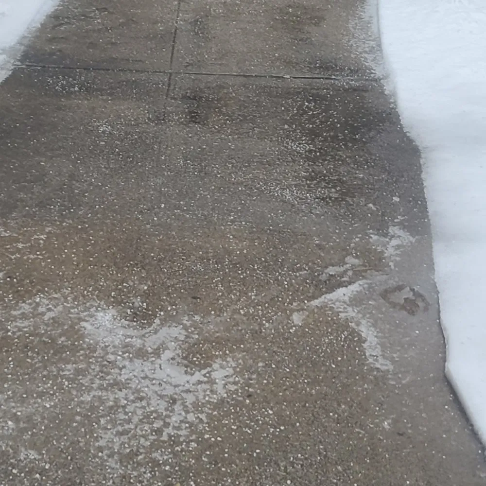 Top-rated yard cleanup service experts serving Staten Island, NY - Brothers & lawns landscaping and maintenance