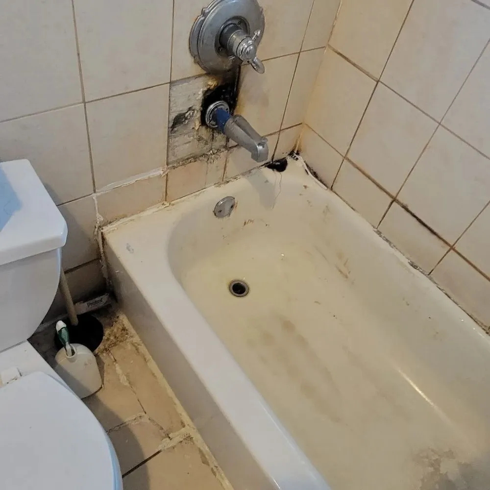 Expert outdoor landscaping experts serving Staten Island, NY - Brothers & lawns landscaping and maintenance