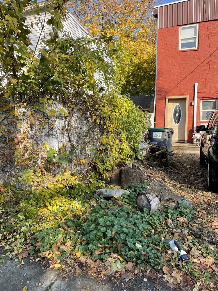 Expert landscape installation in Troy, NY by Brothers & Mowers