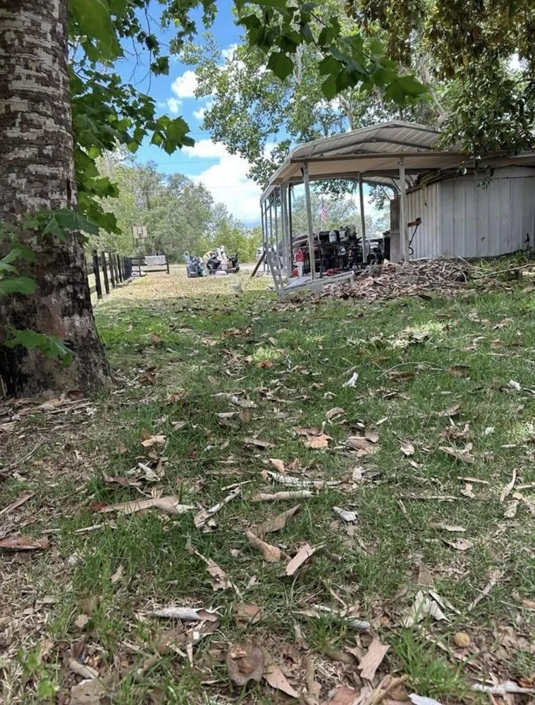 Expert yard cleanup service for outdoor upgrades across Archer, FL - Brother's and son's landscaping