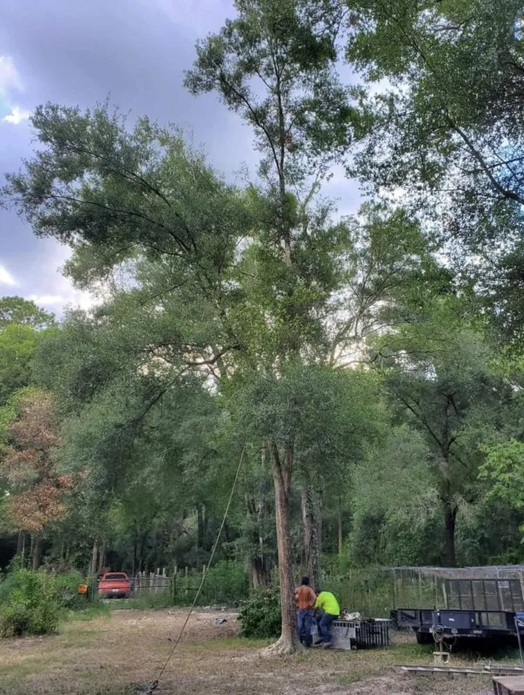 Affordable landscaping services for homes across Archer, FL - Brother's and son's landscaping