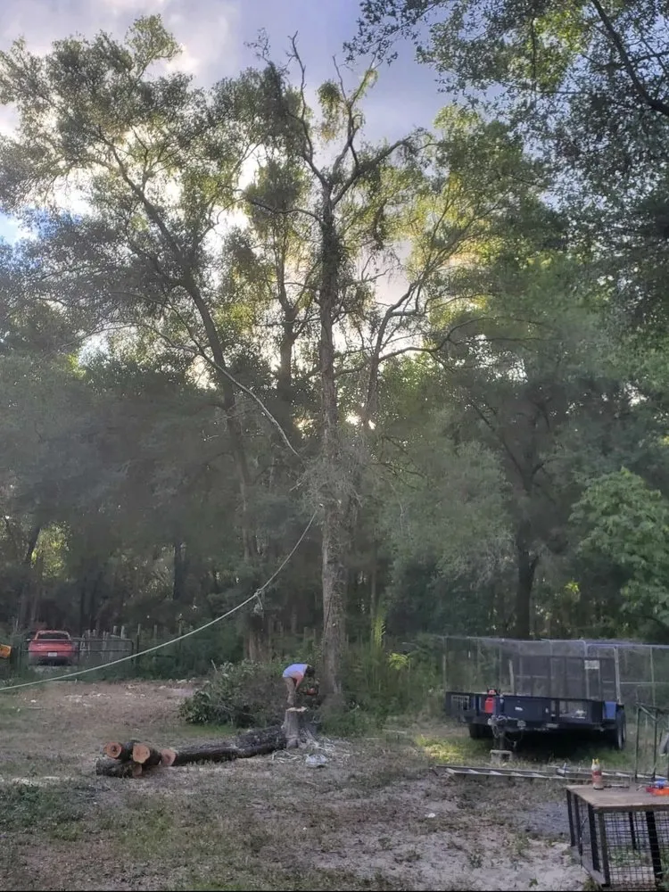 Local garden landscaping experts serving Archer, FL - Brother's and son's landscaping