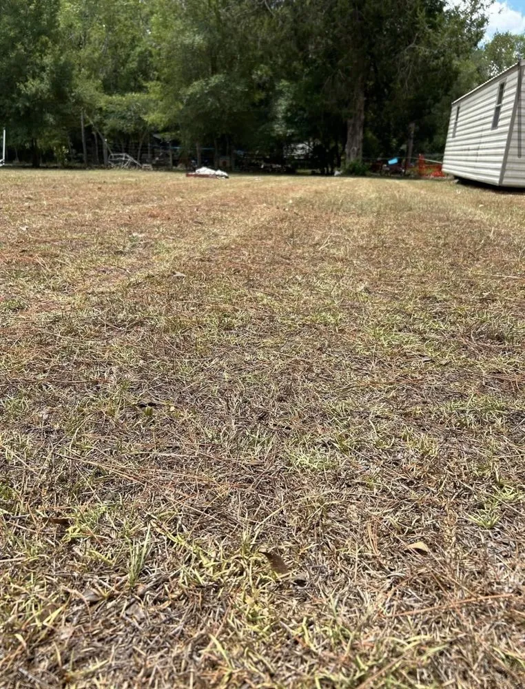 Professional landscape design in Archer, FL - Brother's and son's landscaping