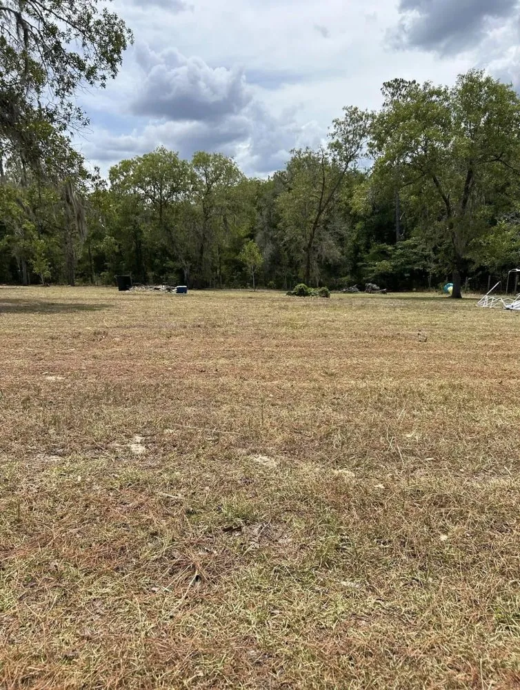 Local lawn mowing service experts serving Archer, FL - Brother's and son's landscaping