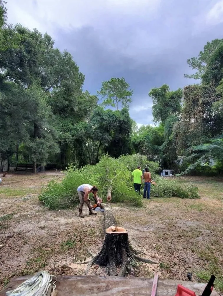 Trusted residential landscaping for homes across Archer, FL - Brother's and son's landscaping