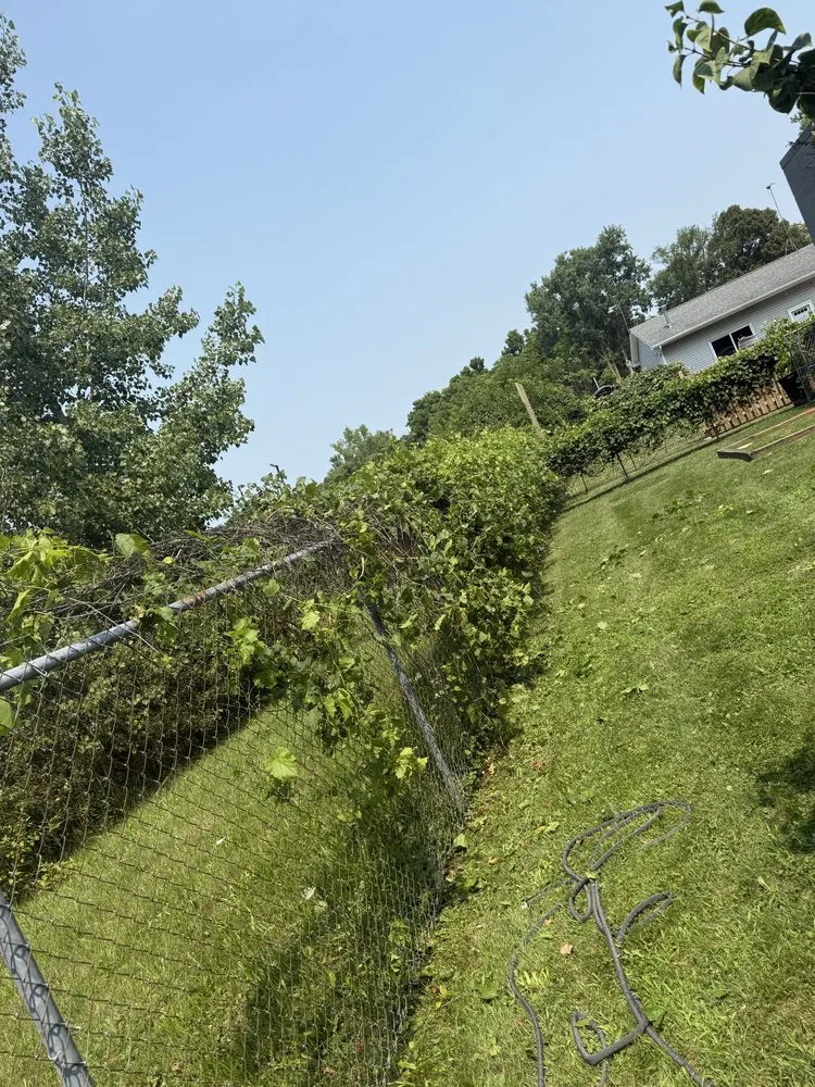 Professional lawn care service in Fenton, MI - Brother’s and Son’s Services