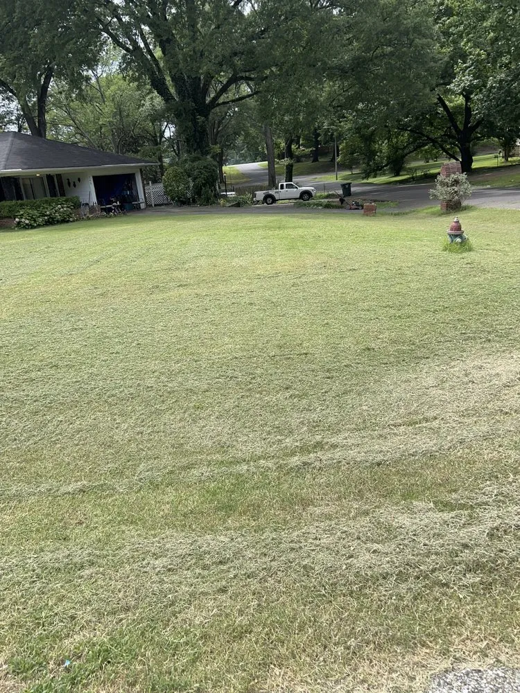 Professional landscaping services for beautiful yards in Memphis, TN by Brothers at Work