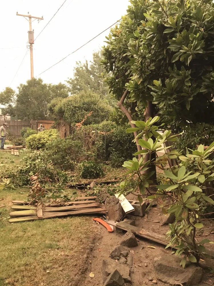 Custom landscaping services in Springfield, OR by Brothers Bears Lawn Care