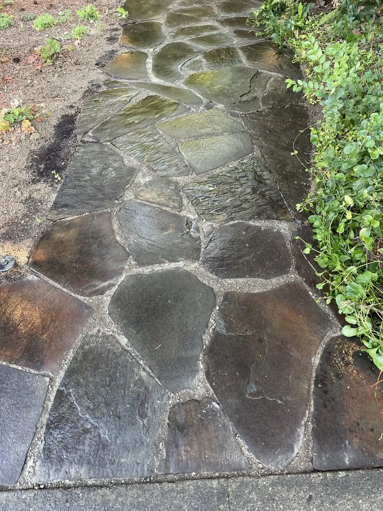 Expert residential landscaping in Springfield, OR by Brothers Bears Lawn Care