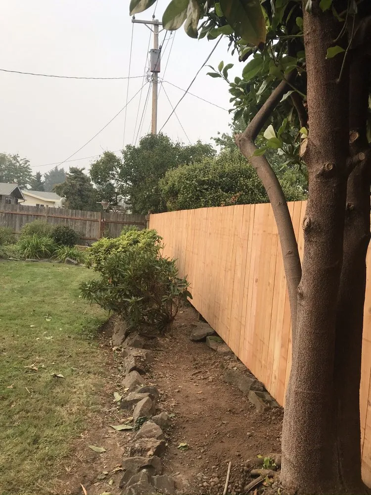 Professional yard maintenance in Springfield, OR by Brothers Bears Lawn Care