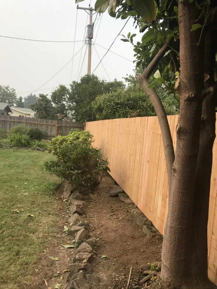 Expert outdoor landscaping for year-round maintenance in Springfield, OR by Brothers Bears Lawn Care