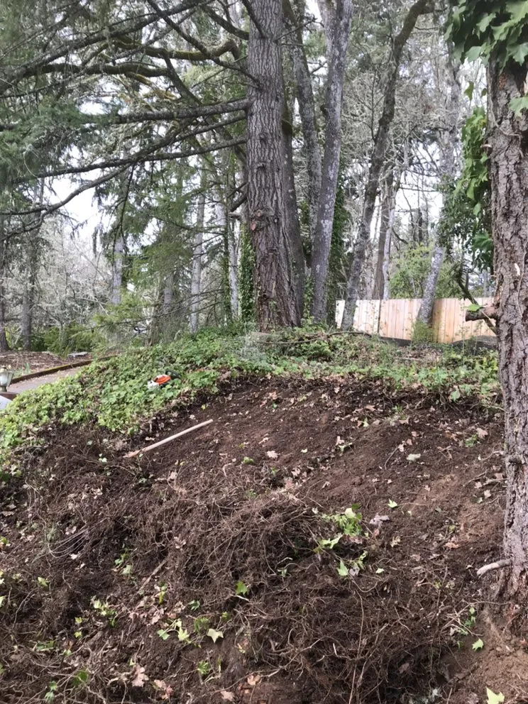 Reliable garden landscaping in Springfield, OR - Brothers Bears Lawn Care