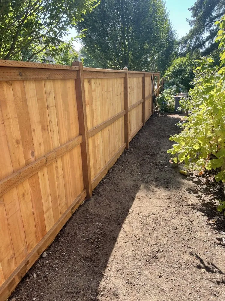 Expert lawn care service for year-round maintenance in Springfield, OR by Brothers Bears Lawn Care