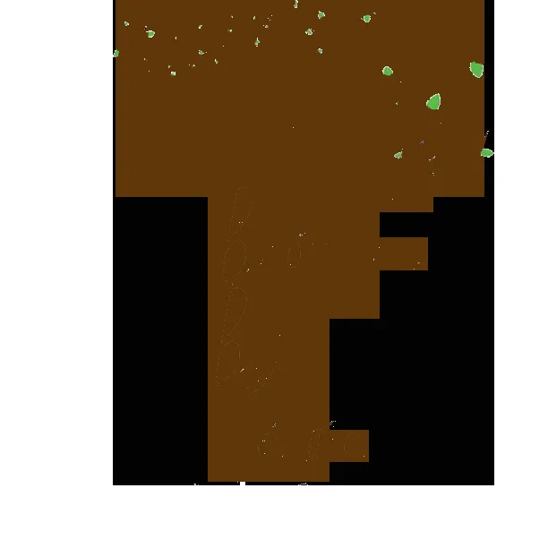 Top-rated lawn care service in Brighton, CO by Brothers By Nature Outdoor Contracting