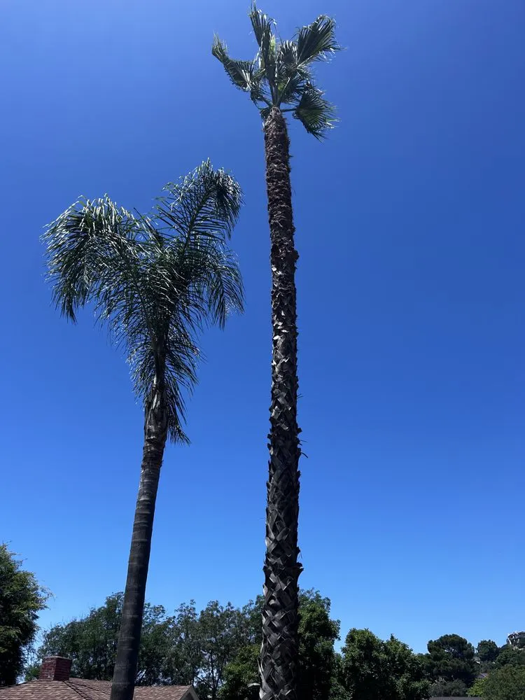 Trusted outdoor landscaping in Valley Center, CA - Brothers Carrillo landscape
