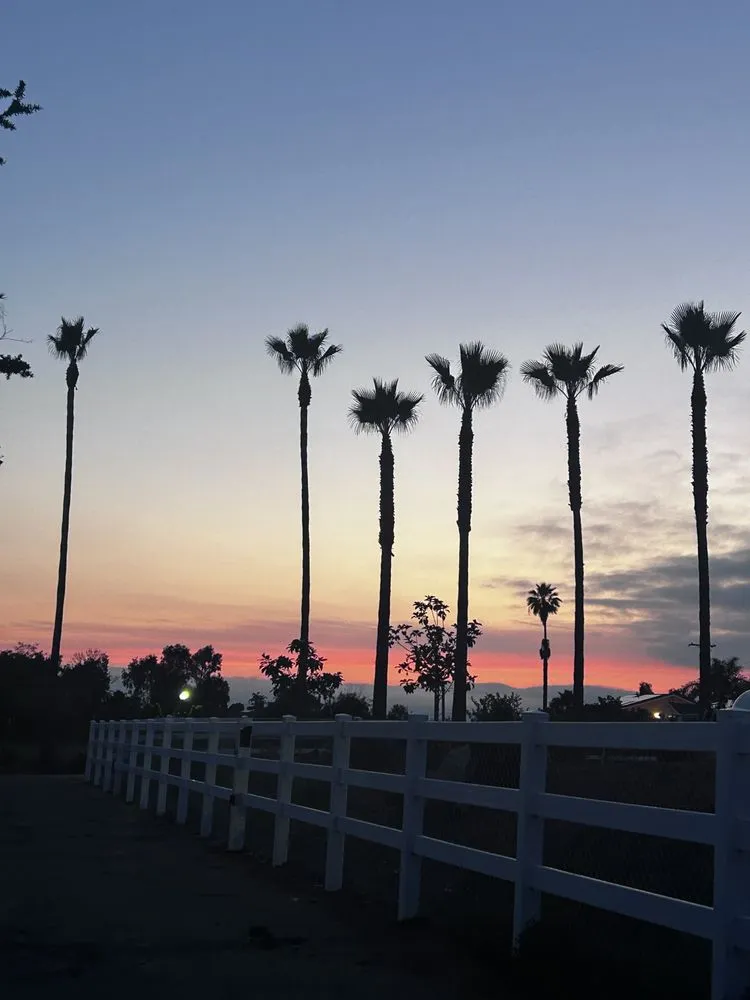 Trusted landscape installation for outdoor upgrades in Valley Center, CA by Brothers Carrillo landscape