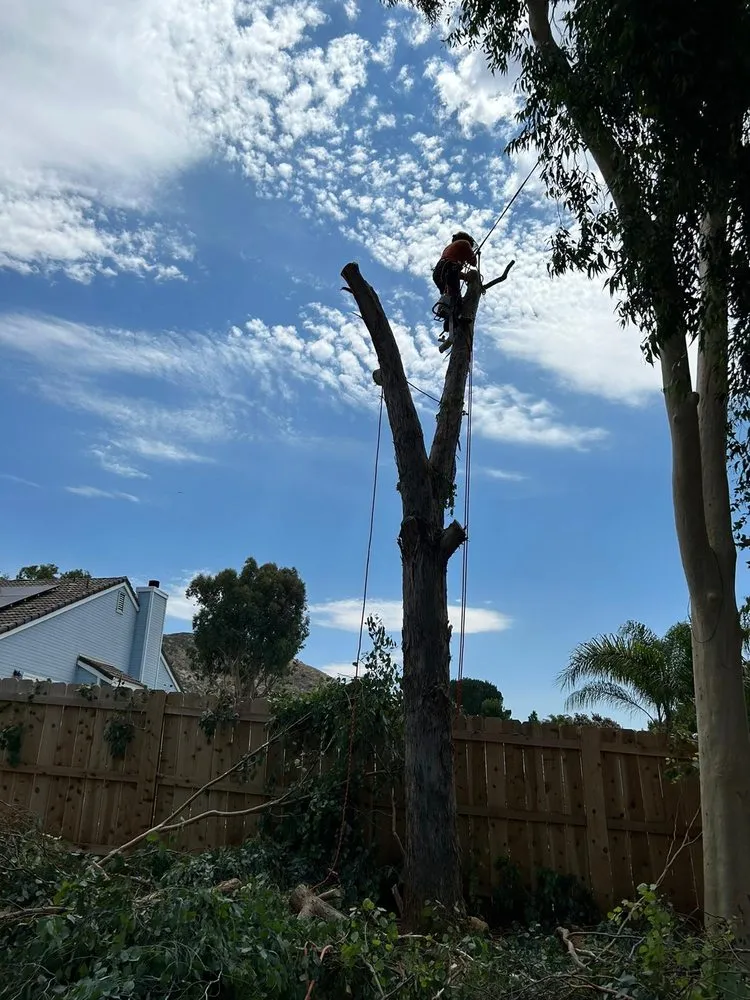 Trusted landscaping services in Valley Center, CA - Brothers Carrillo landscape