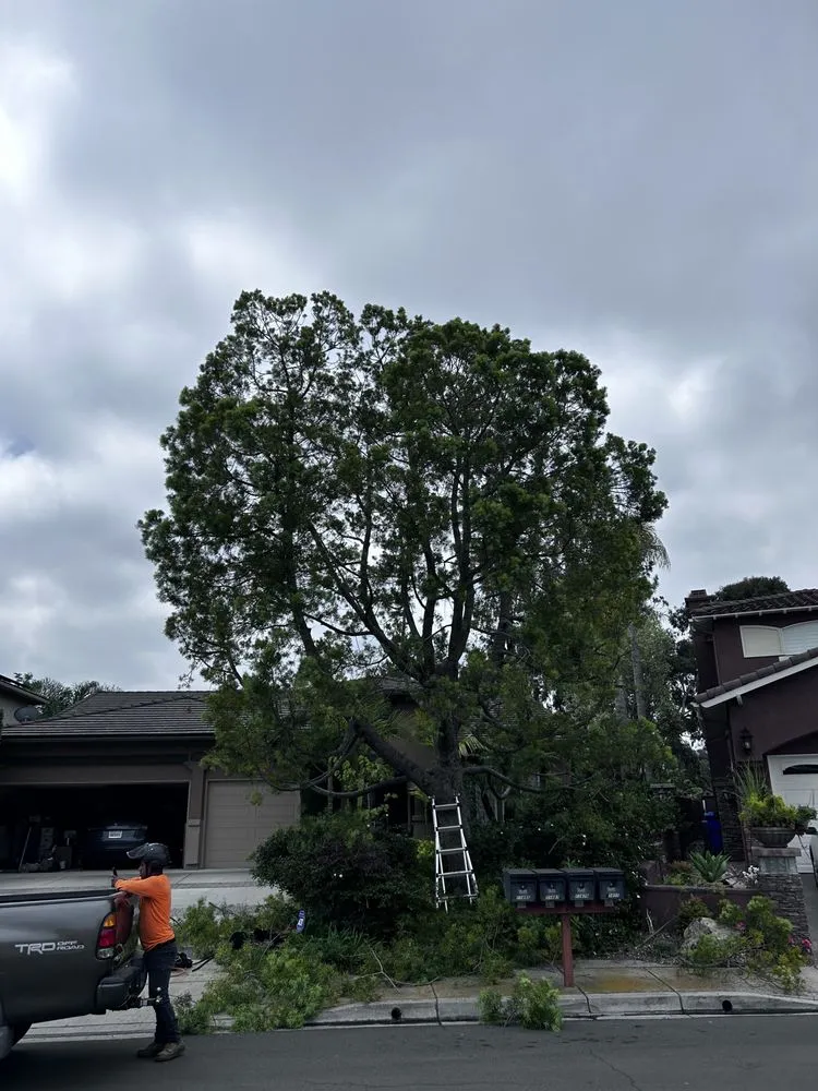 Trusted landscape installation in Valley Center, CA - Brothers Carrillo landscape