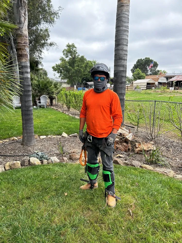 Custom lawn mowing service with custom design in Valley Center, CA by Brothers Carrillo landscape