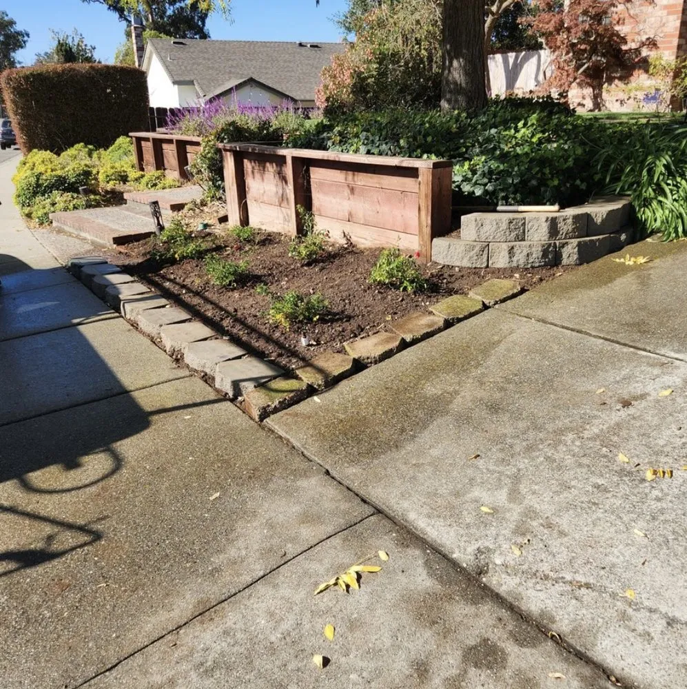 Trusted lawn mowing service in Petaluma, CA - Brothers Construction and Lanscaping