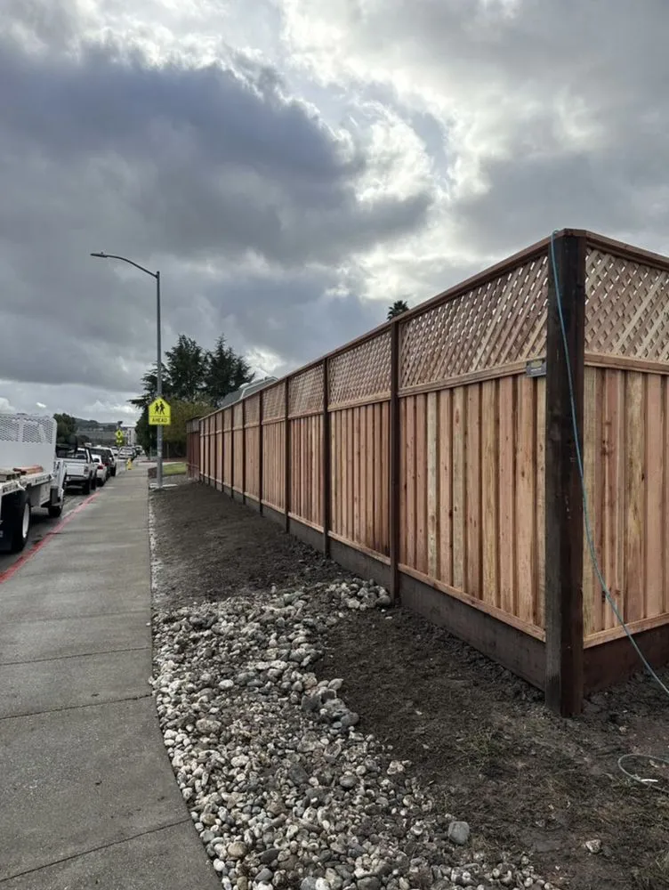 Top-rated lawn care service for homes across Petaluma, CA - Brothers Construction and Lanscaping