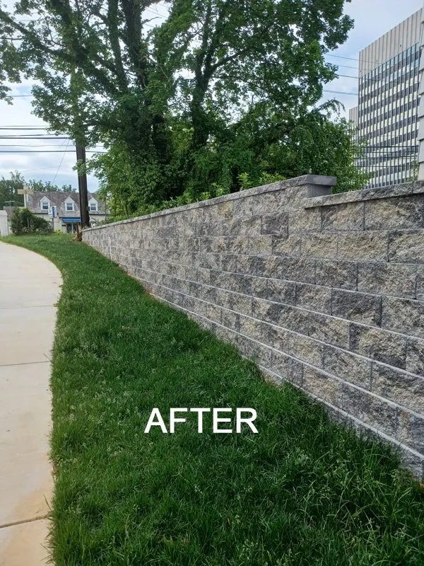 Local yard maintenance in Silver Spring, MD by Brothers Designs