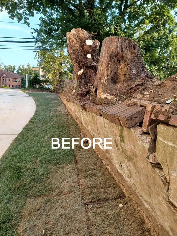 Custom residential landscaping for homes across Silver Spring, MD - Brothers Designs