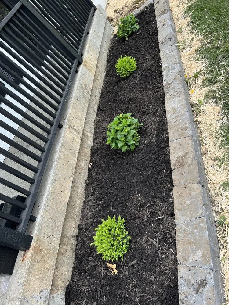 Expert landscape design for year-round maintenance in Belton, MO by Brothers Elite Power Wash