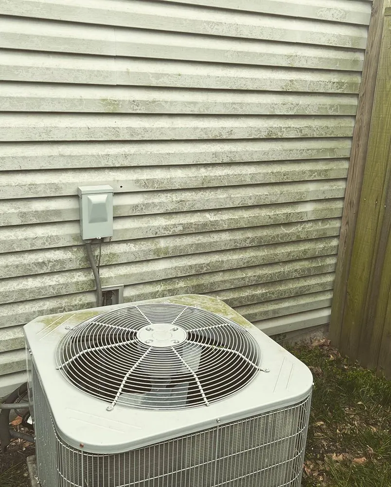 Reliable yard cleanup service for beautiful yards across Belton, MO - Brothers Elite Power Wash