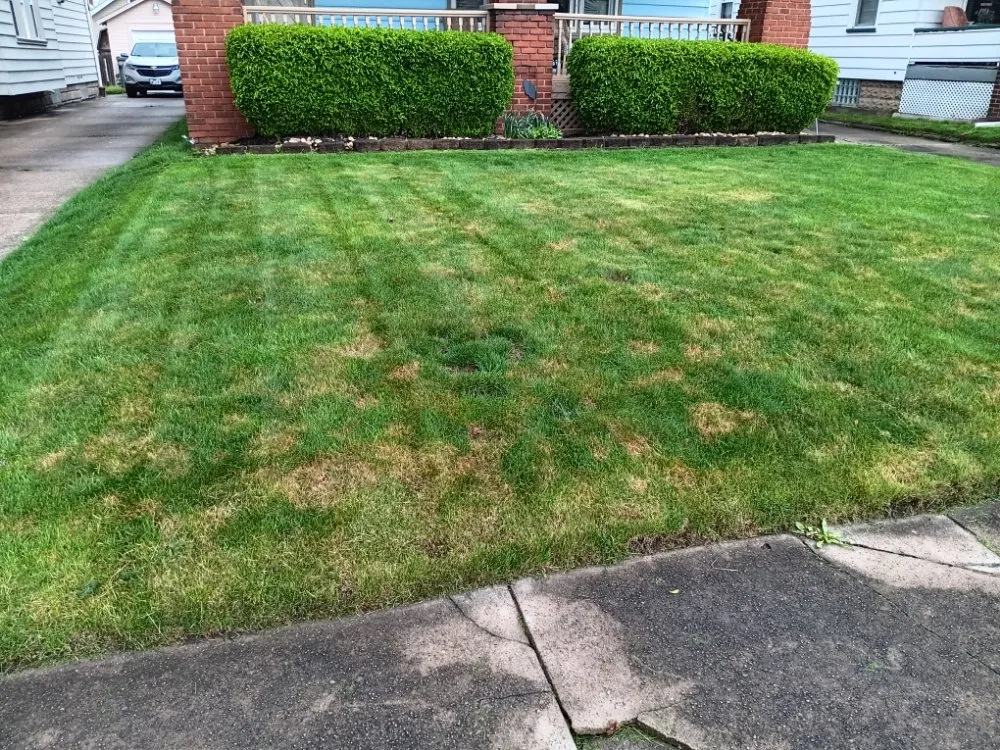 Local landscape installation in Youngstown, OH by Brothers for life landscaping