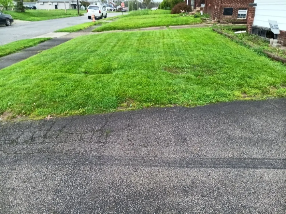 Reliable garden landscaping in Youngstown, OH - Brothers for life landscaping