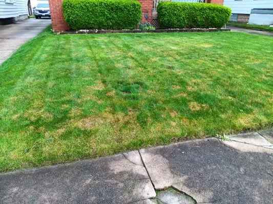 Brothers for life landscaping Logo