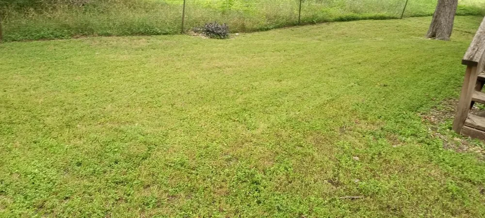 Affordable lawn mowing service experts serving Kyle, TX - Brothers Garcia Landscape Design