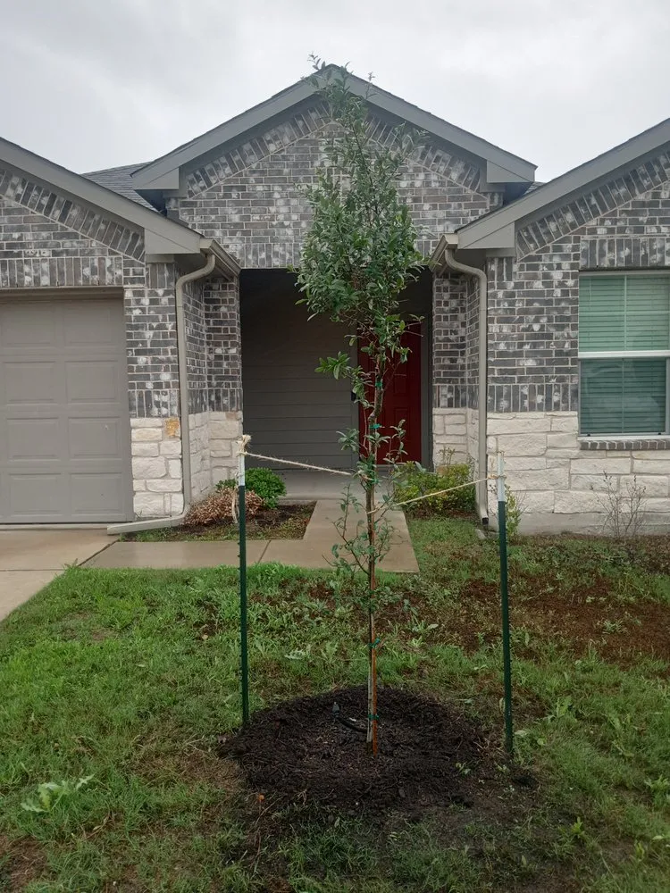 Expert lawn care service for residential properties across Kyle, TX - Brothers Garcia Landscape Design