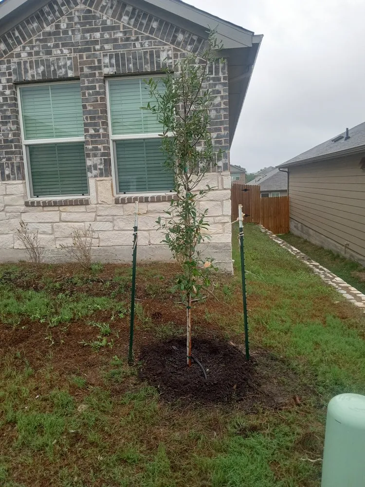 Expert landscape design in Kyle, TX by Brothers Garcia Landscape Design