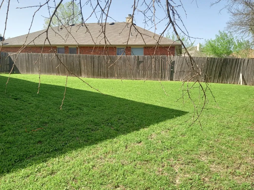 Affordable yard maintenance experts serving Kyle, TX - Brothers Garcia Landscape Design