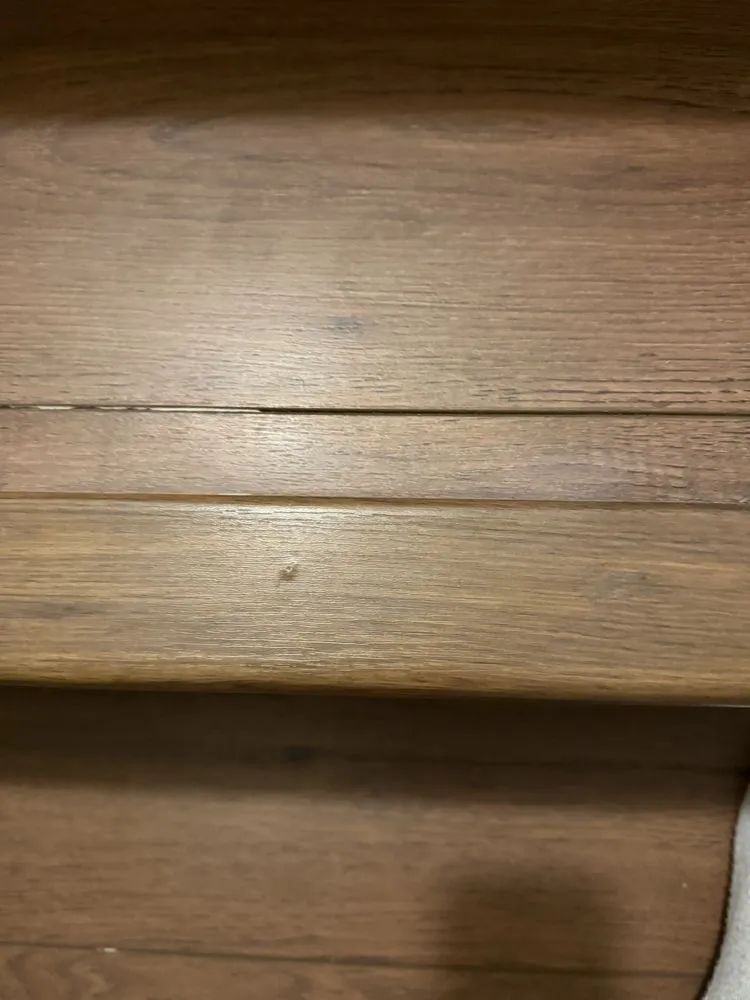 Expert yard cleanup service experts serving Powder Springs, GA - Brothers General Contracting and Landscaping