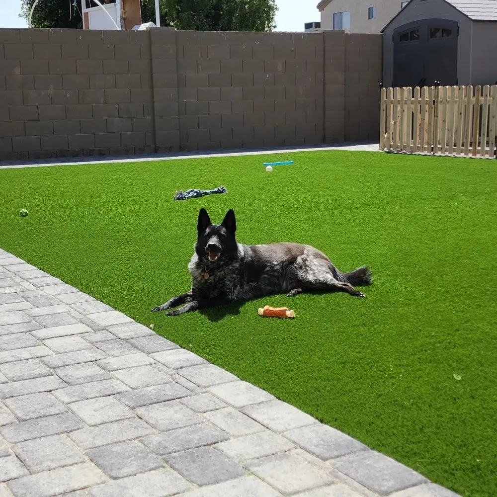 Custom lawn care service in Mesa, AZ by Brothers Gonzalez Landscaping