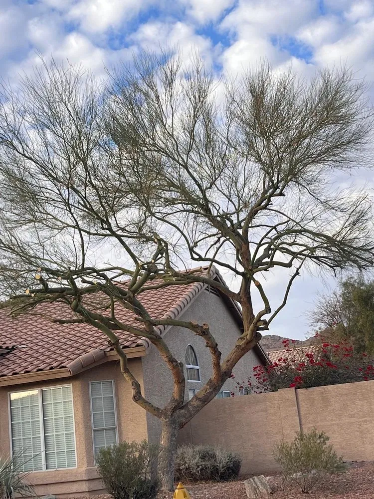 Affordable yard cleanup service experts serving Mesa, AZ - Brothers Gonzalez Landscaping